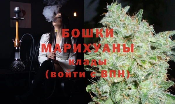 соль ск Нея