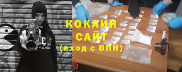 тгк Дмитровск