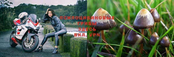марки lsd Дмитриев