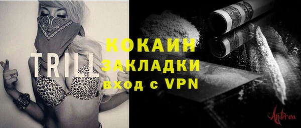 молекула духа Надым