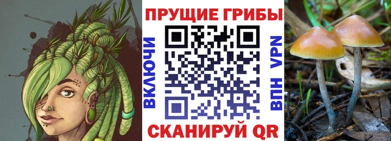 Галлюциногенные грибы GOLDEN TEACHER где купить Оха