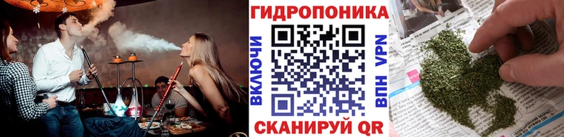 Конопля Amnesia  где продают   сайты даркнета какой сайт  Оха 